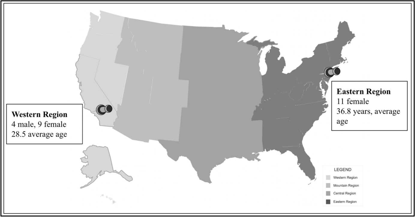 Improved Soft-Skill Competencies of ABA Professionals Following Training and Coaching: A Feasibility Study
