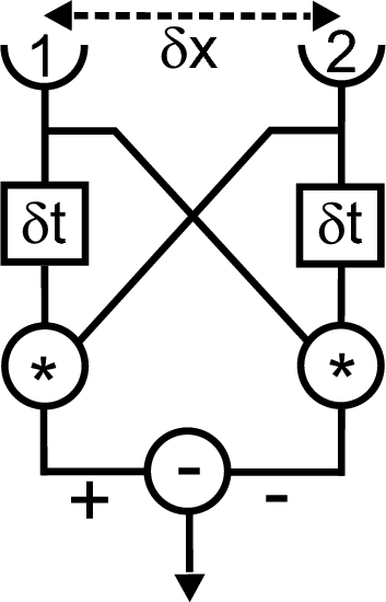 Model organisms and systems in neuroethology: one hundred years of history and a look into the future