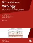 Tissue-resident memory T cells in protective immunity to influenza virus