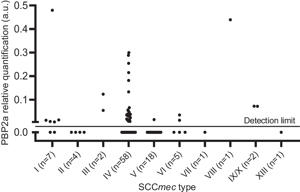 Proteomic assay for rapid characterisation of Staphylococcus aureus antimicrobial resistance mechanisms directly from blood cultures
