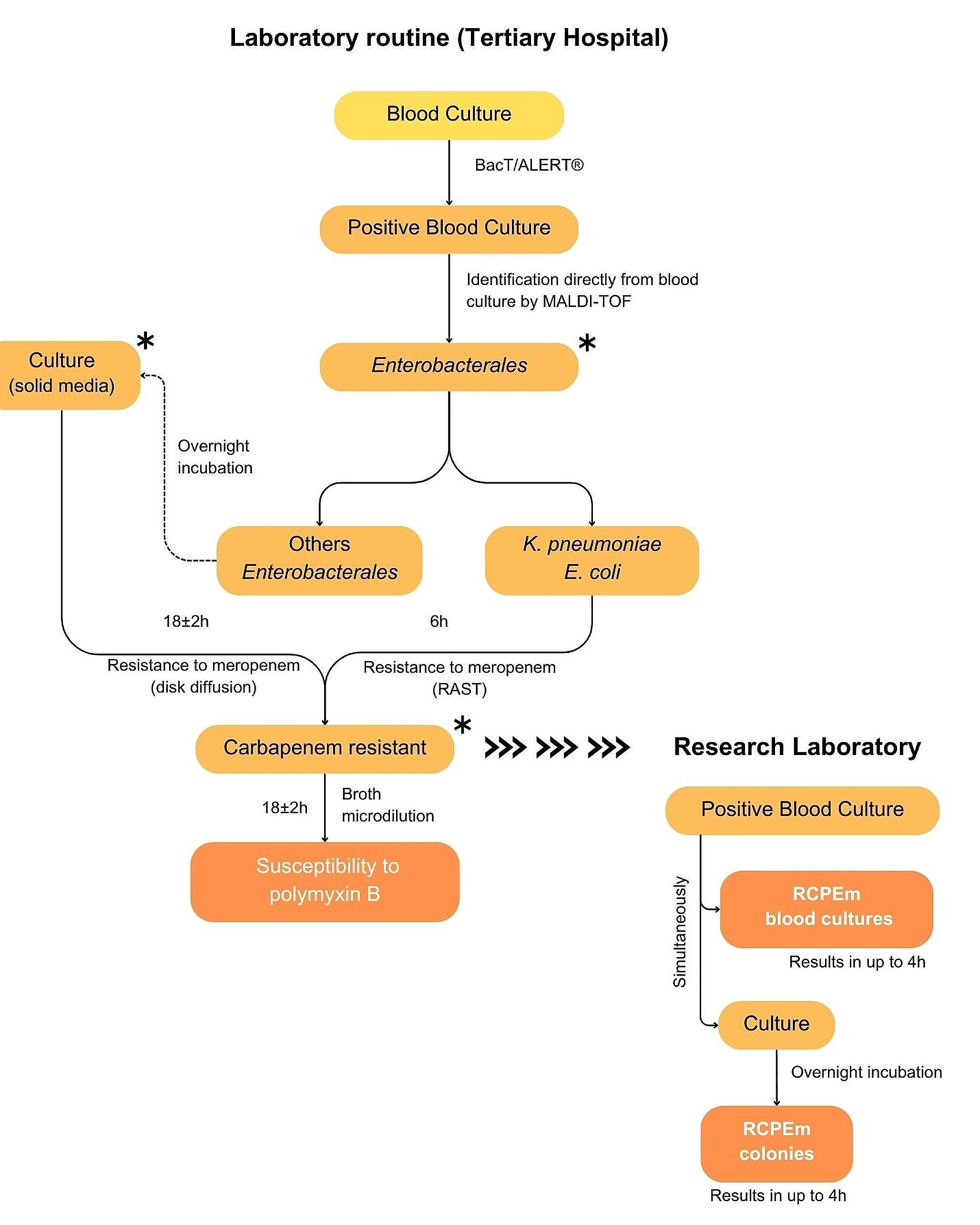 Rapid colorimetric polymyxin B microelution directly from positive blood bottles: because patients with serious infections should not have to wait for results of culture-based methodologies