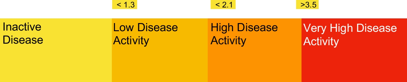 How to Monitor Disease Activity of Axial Spondyloarthritis in Clinical Practice