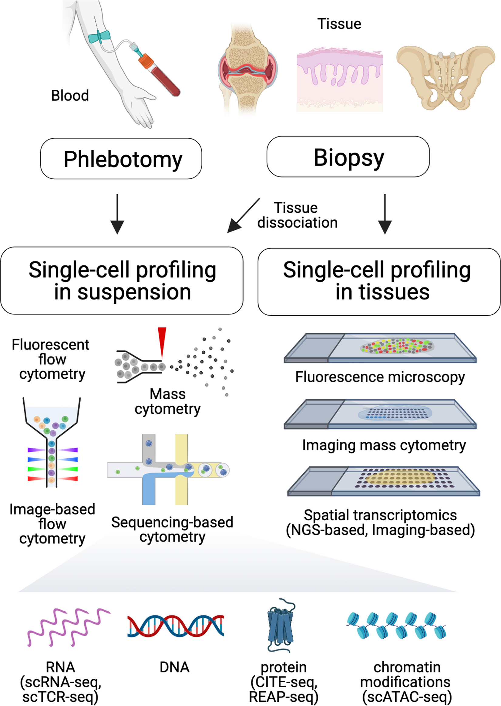 Understanding Spondyloarthritis Pathogenesis: The Promise of Single-Cell Profiling