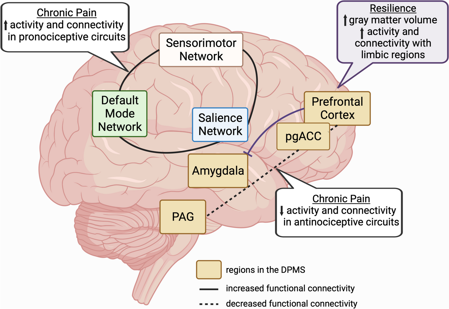 Broadening the Scope of Resilience in Chronic Pain: Methods, Social Context, and Development