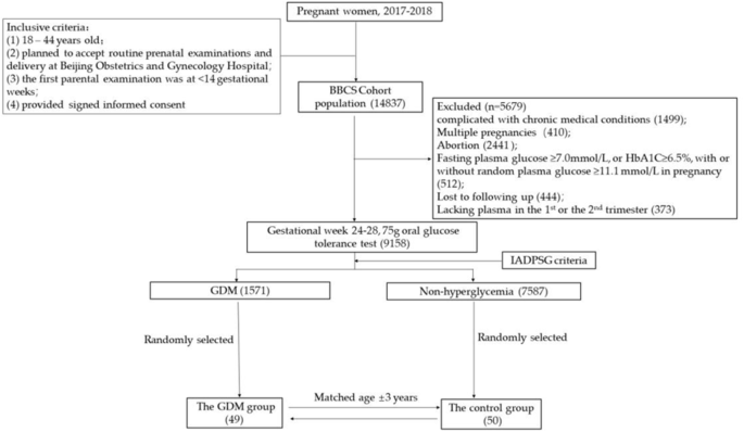 Butyrate and iso-butyrate: a new perspective on nutrition prevention of gestational diabetes mellitus