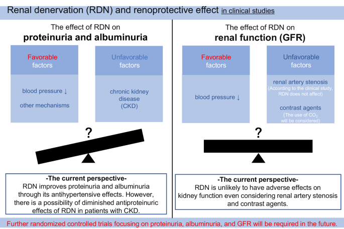 Effects of renal denervation on the kidney: albuminuria, proteinuria, and renal function