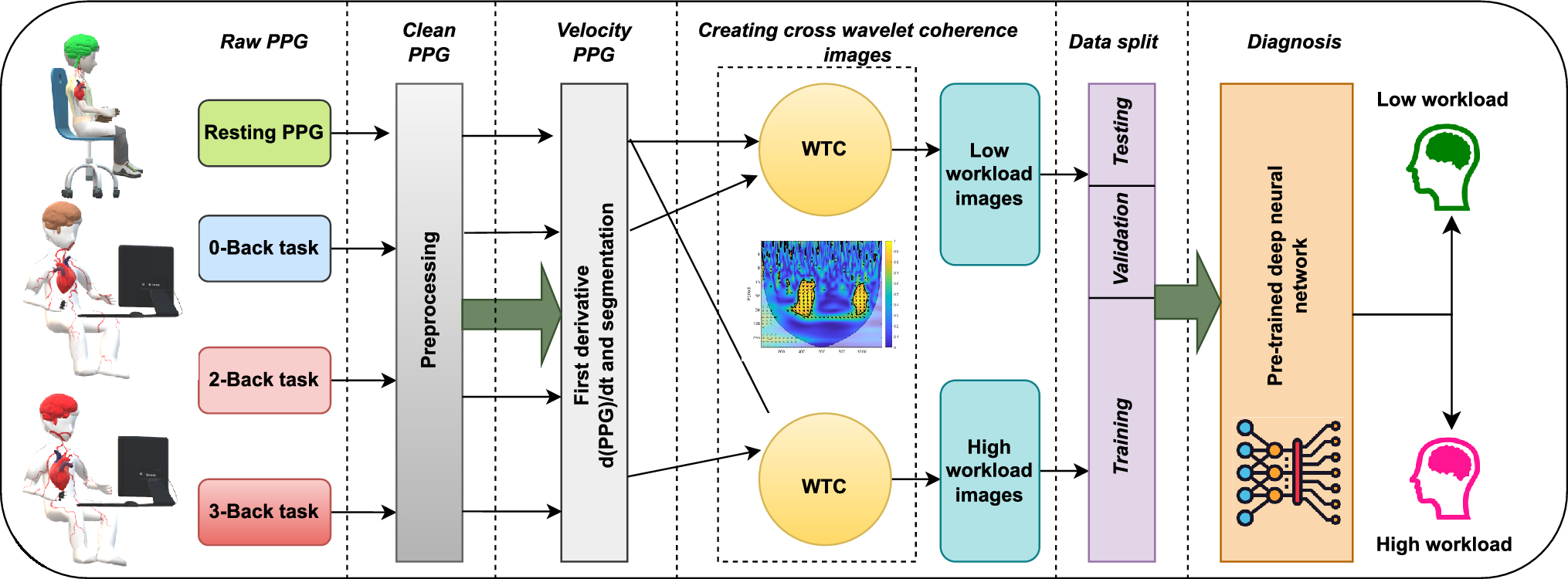 Automated assessment of mental workload from PPG sensor data using cross-wavelet coherence and transfer learning