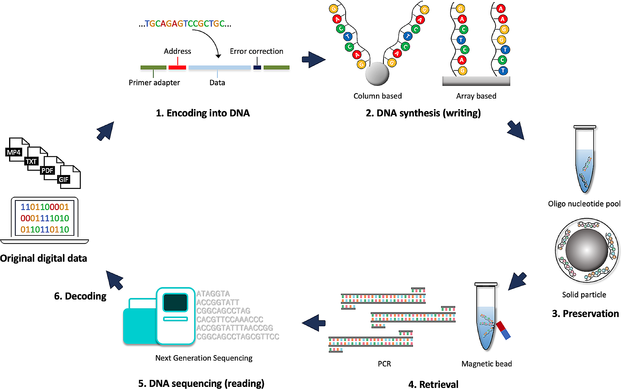 Recent progress in DNA data storage based on high-throughput DNA synthesis