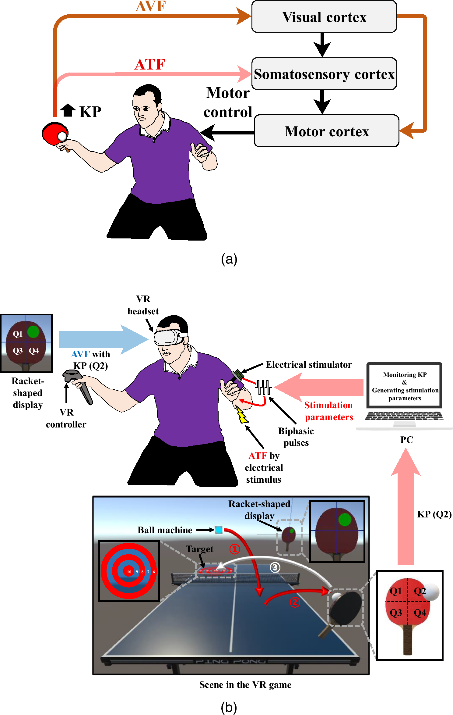 Location-based electrotactile feedback localizes hitting point in virtual-reality table tennis game