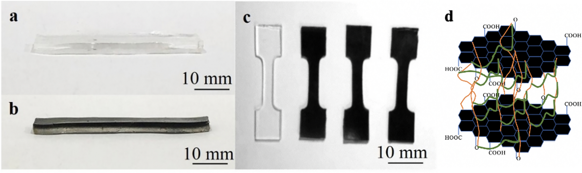 Study of mechanical property and biocompatibility of graphene oxide/MEO2MA hydrogel scaffold for wound healing application