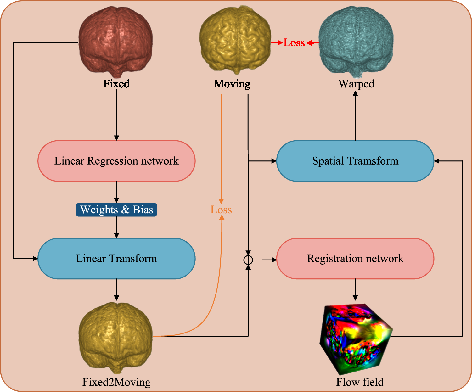 L2NLF: a novel linear-to-nonlinear framework for multi-modal medical image registration