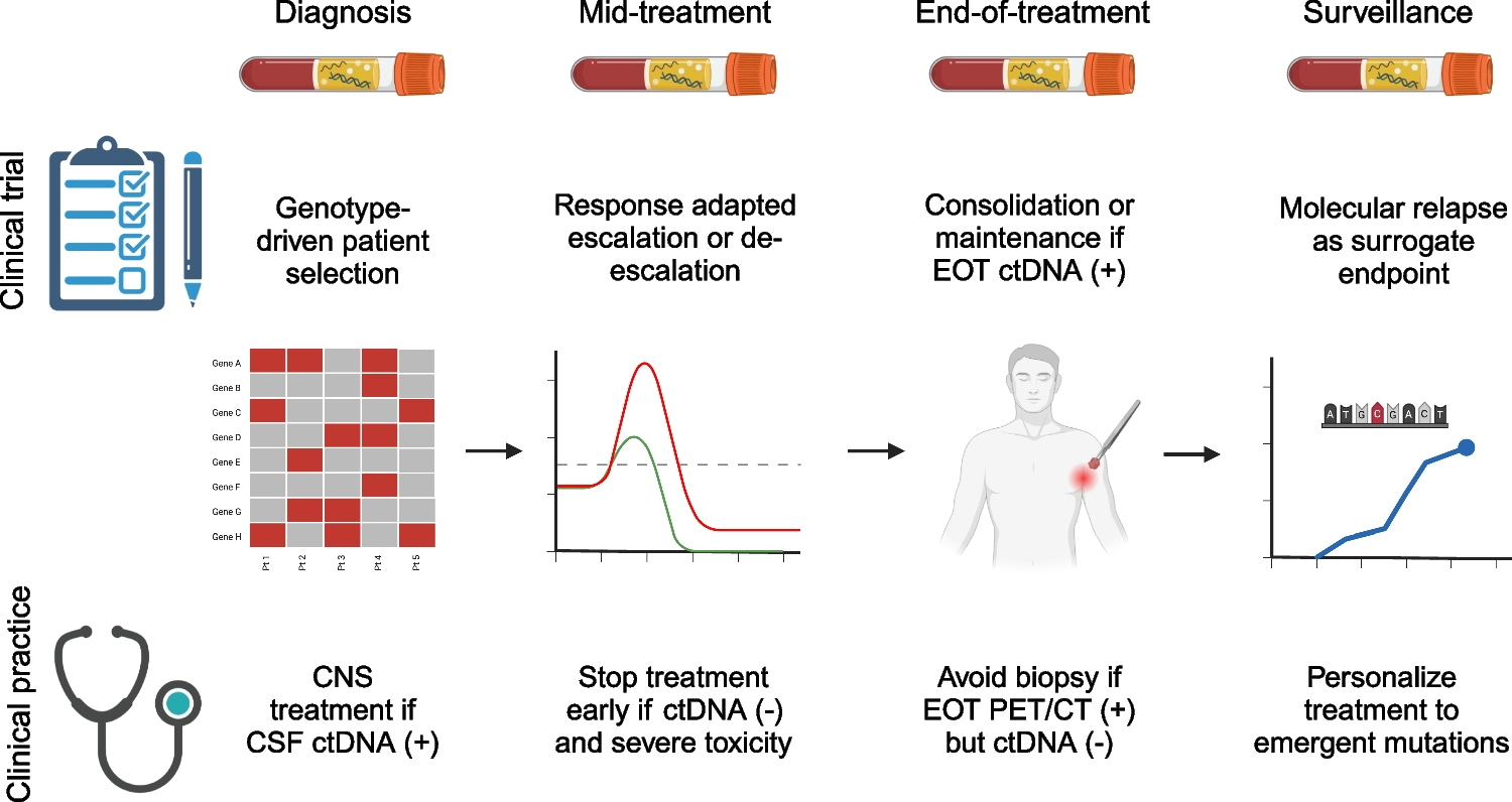 Circulating Tumor DNA in Diffuse Large B-Cell Lymphoma: from Bench to Bedside?