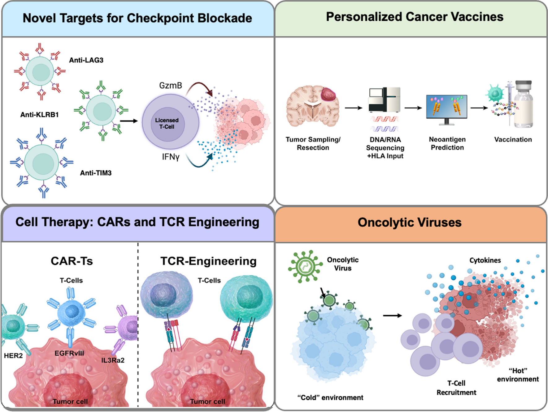 Immunotherapy for Brain Tumors: Where We Have Been, and Where Do We Go From Here?