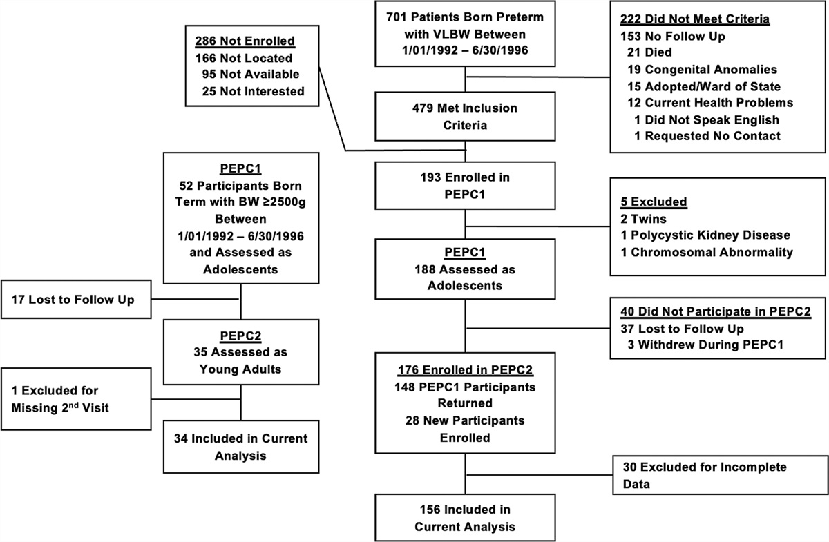 The role of preterm birth in stress-induced sodium excretion in young adults