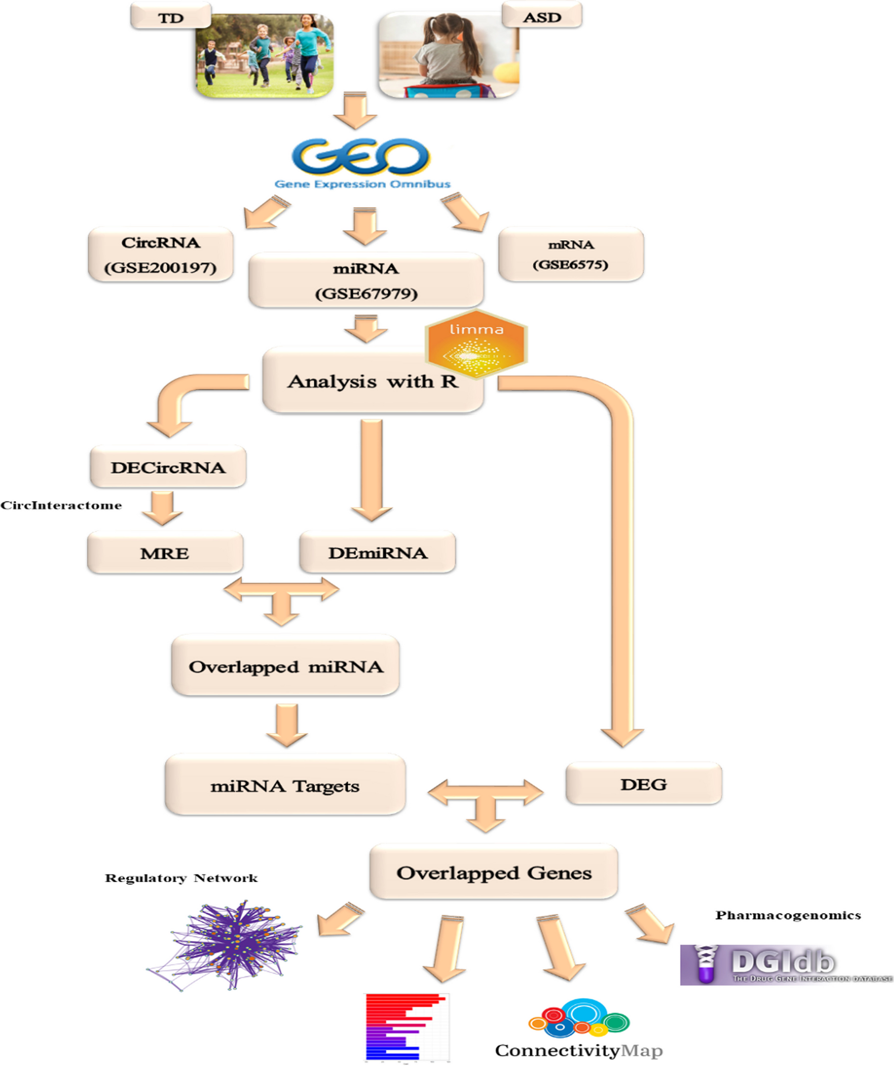 Identification of circRNA–miRNA–mRNA regulatory network associated to the autism spectrum disorder in children through integrated bioinformatics analysis