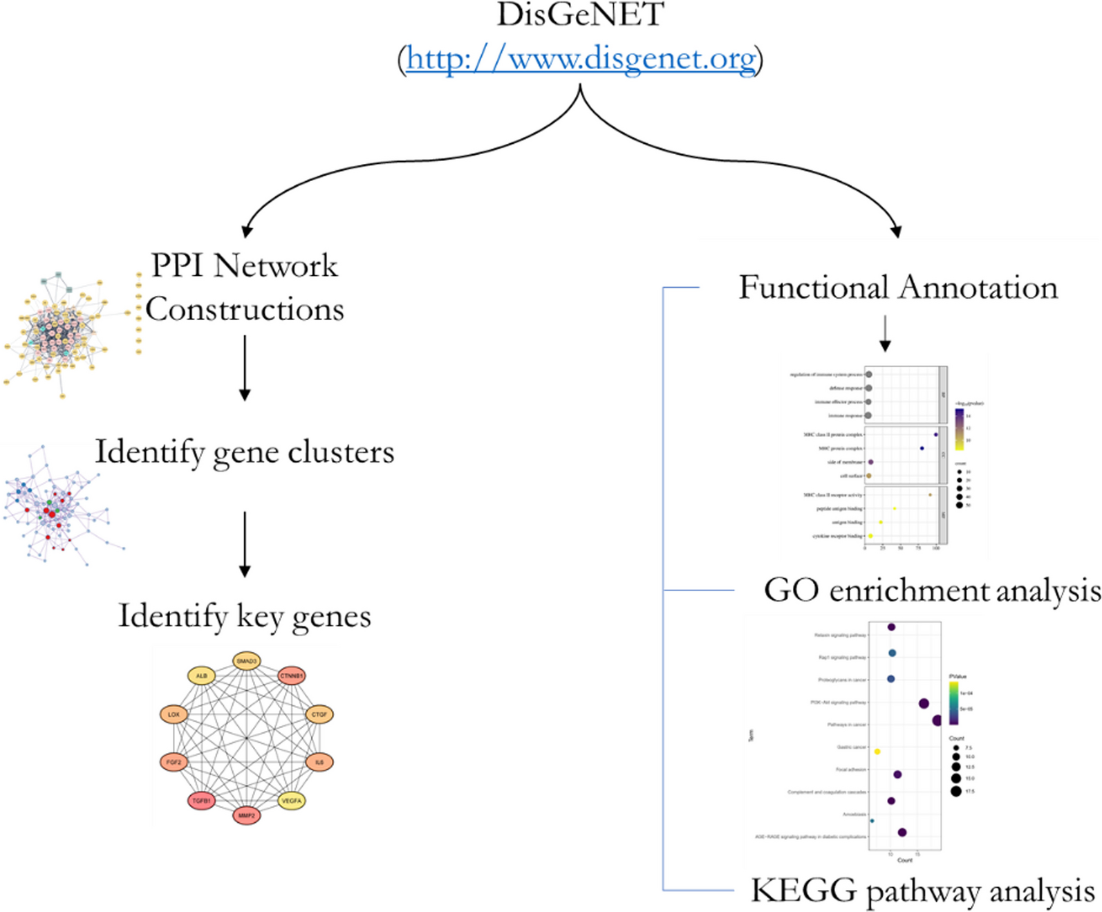 Genetic-driven biomarkers for liver fibrosis through bioinformatic approach