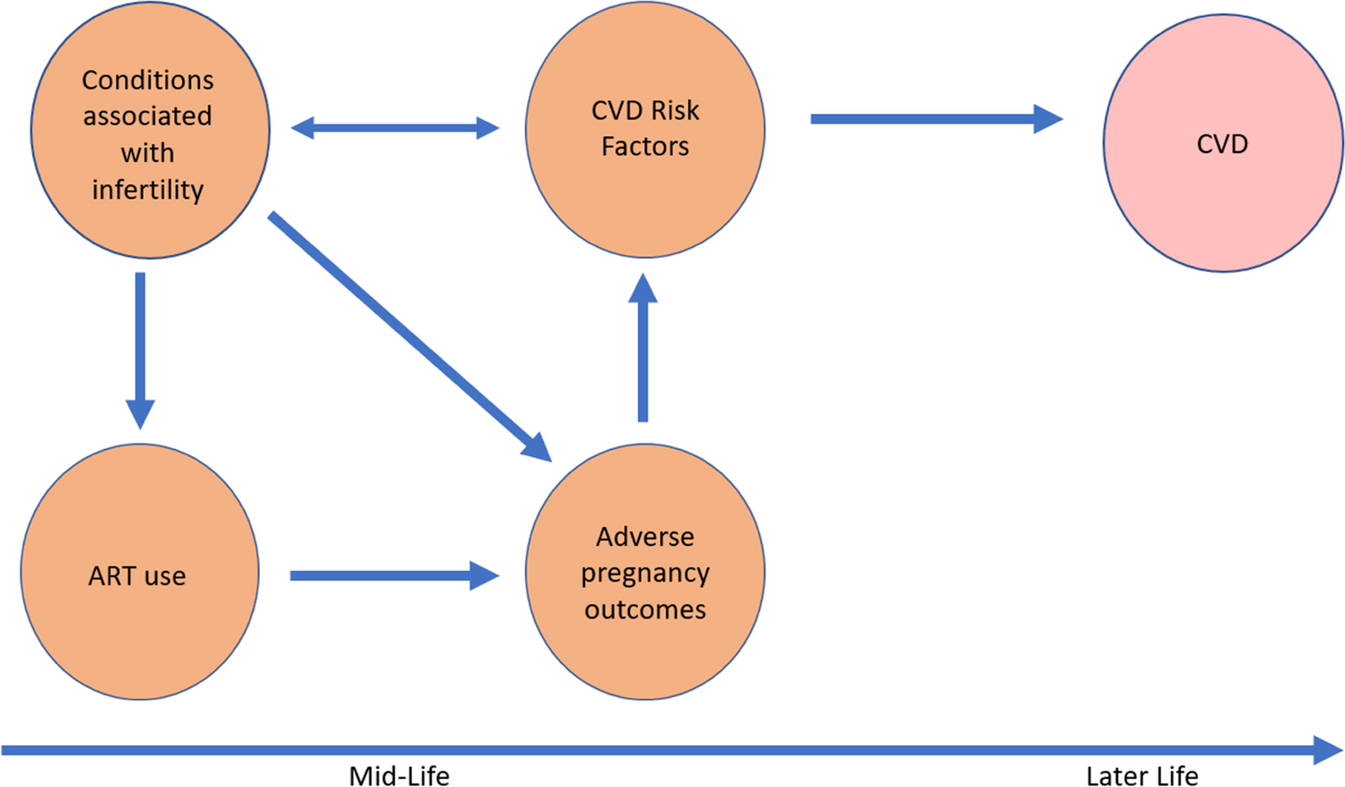 Assisted Reproductive Technology and Cardiovascular Risk in Women