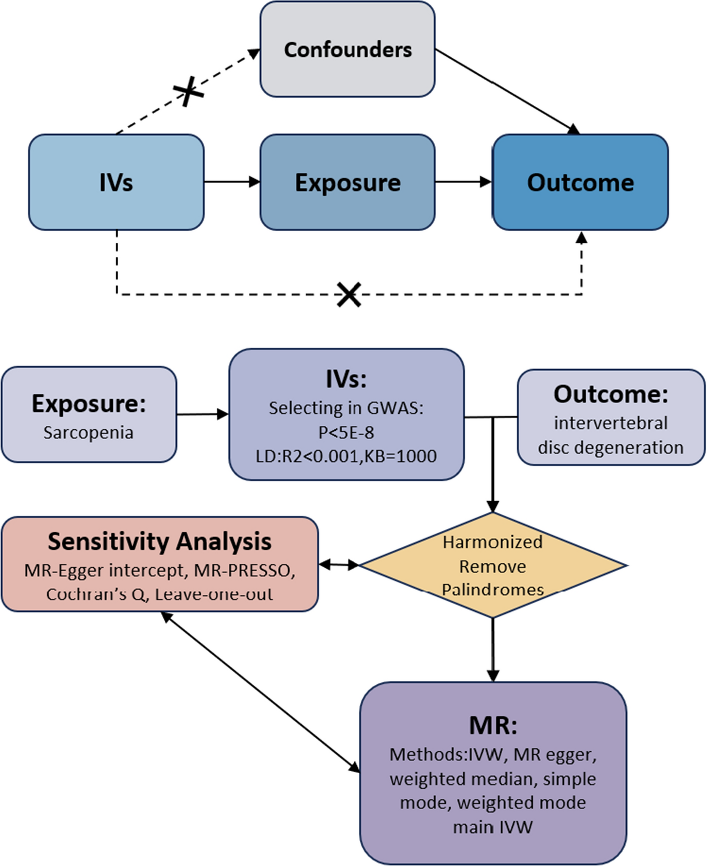 Causal associations between sarcopenia-related traits and intervertebral disc degeneration: a two-sample mendelian randomization analysis