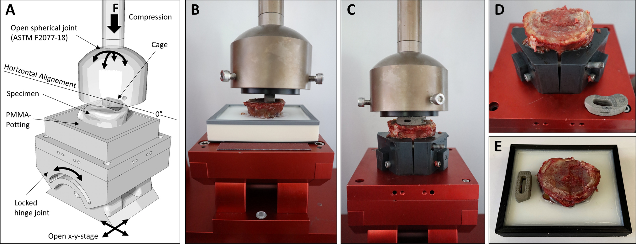 Endplate weakening during cage bed preparation significantly reduces endplate load capacity