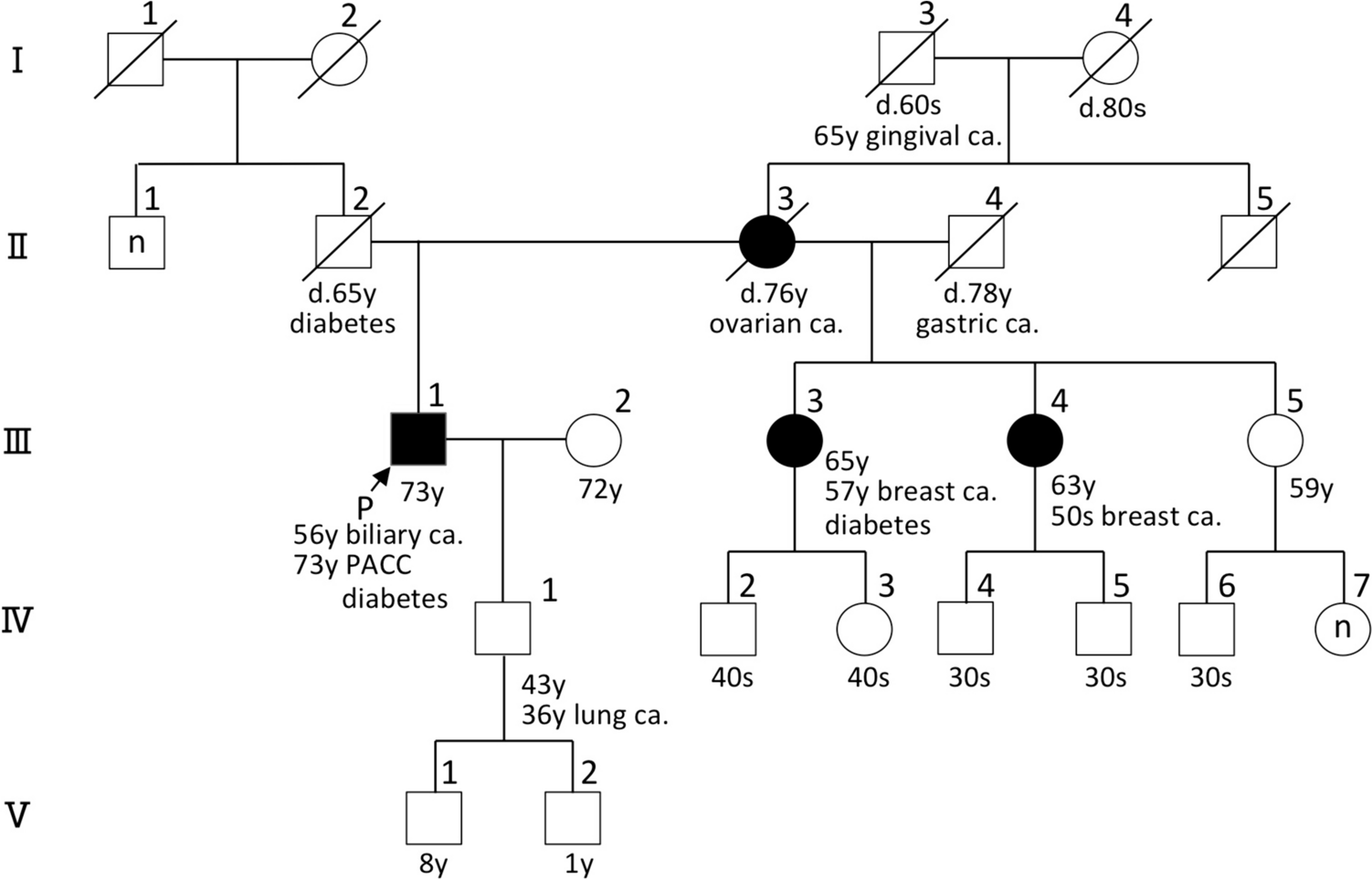 The response of pancreatic acinar cell carcinoma to platinum and olaparib therapy in a germline BRCA2 variant carrier: case report and literature review