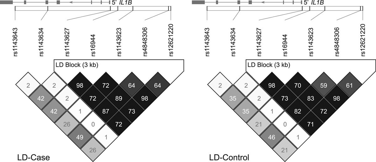 The functional polymorphisms linked with interleukin-1β gene expression are associated with bipolar disorder