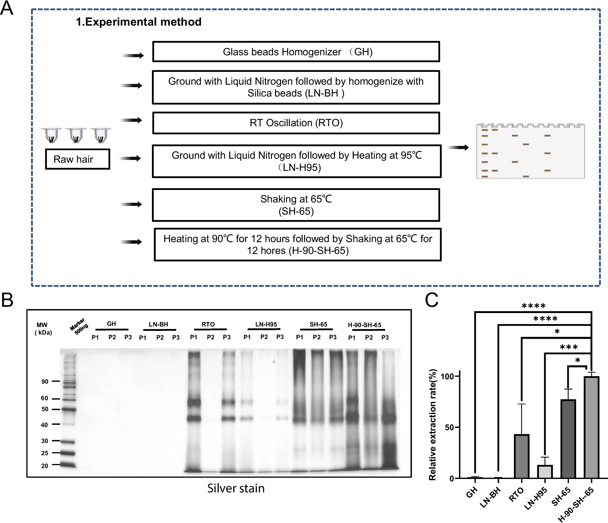 A methodological exploration of distinguishing hair quality based on hair proteomics