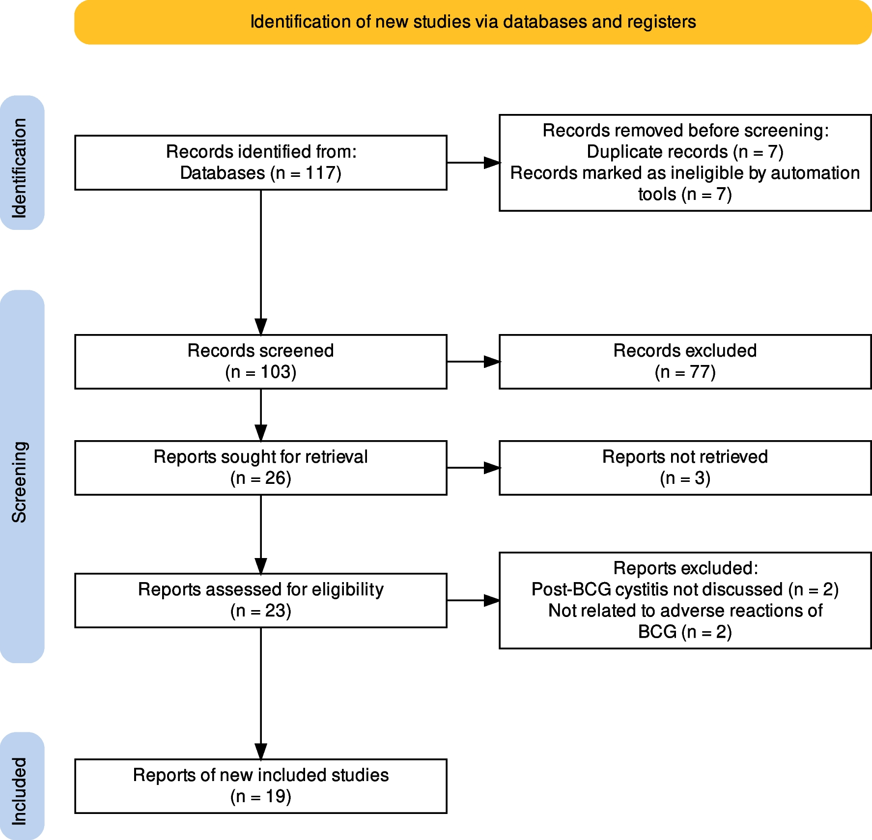 Post-Bacillus Calmette-Guérin Cystitis: A Systematic Review of the Literature
