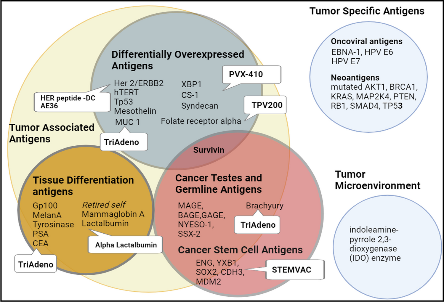 New Vaccine Therapy for Triple-Negative Breast Cancer