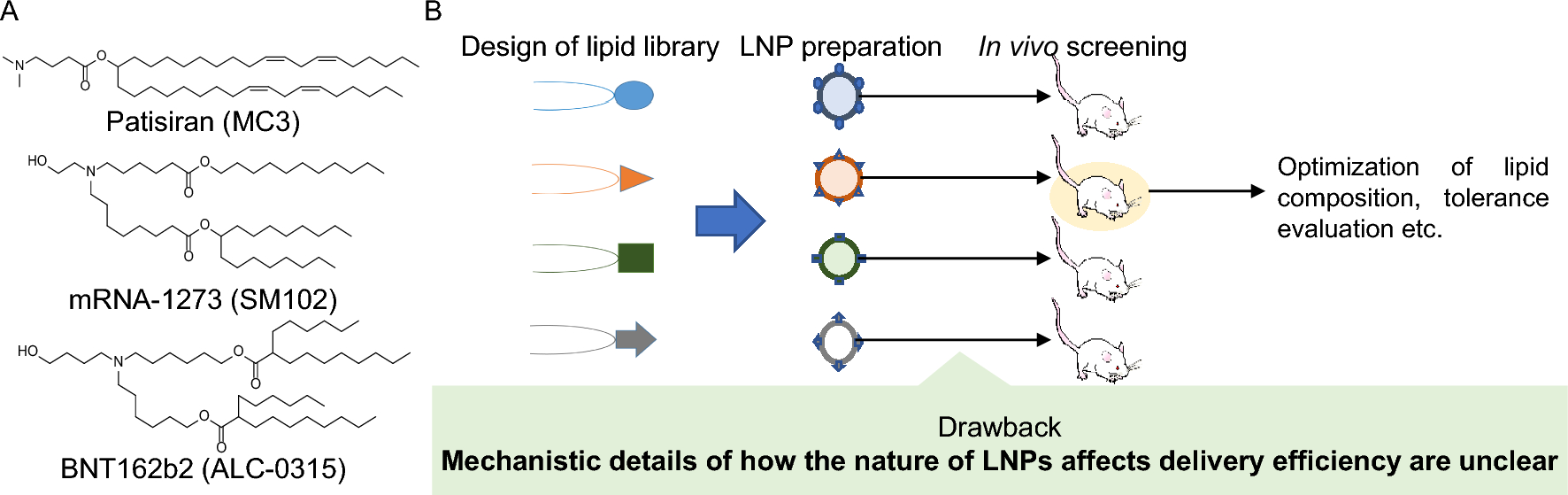 Nano–Bio Interactions: Exploring the Biological Behavior and the Fate of Lipid-Based Gene Delivery Systems