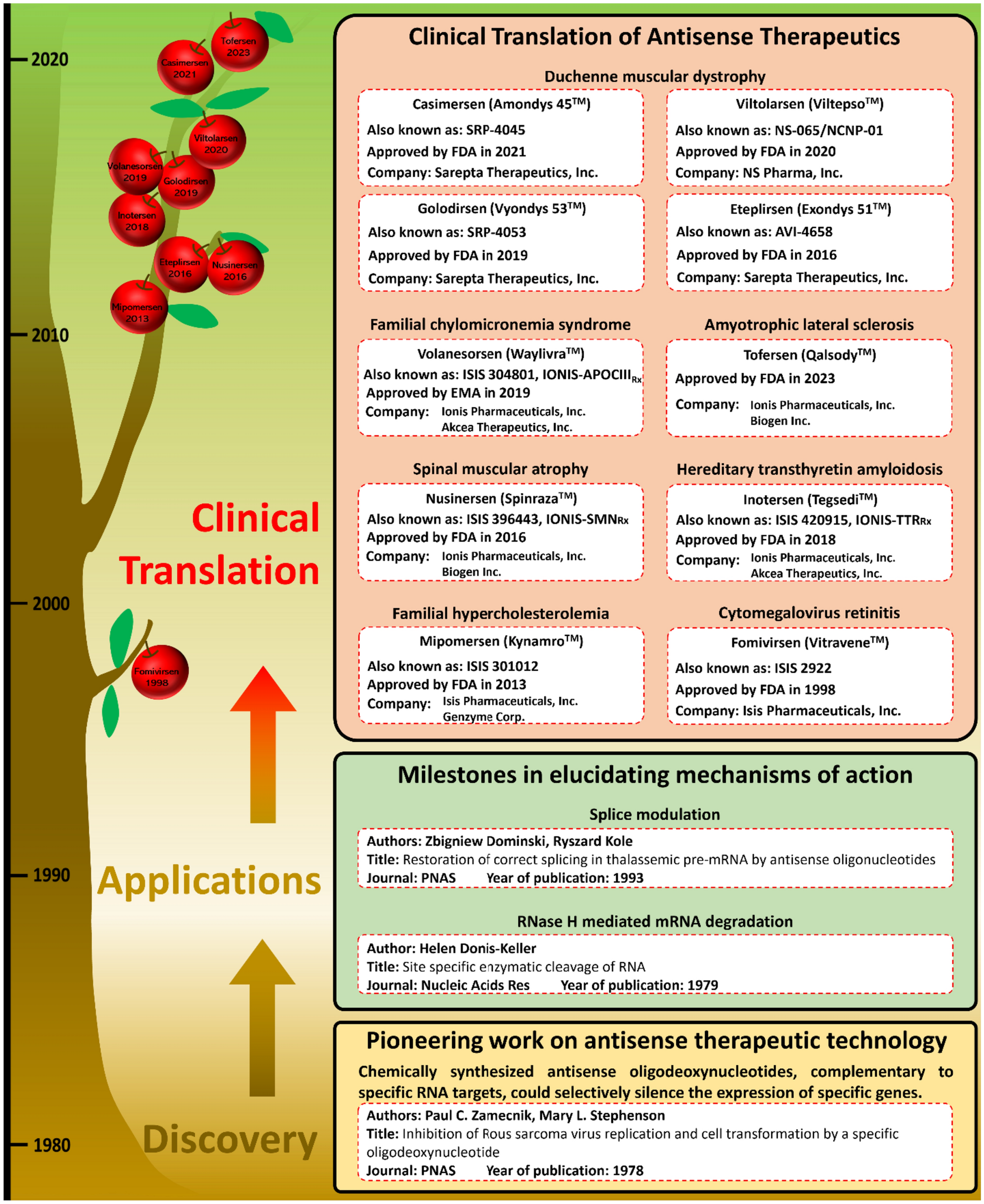 Splice-Modulating Antisense Oligonucleotides as Therapeutics for Inherited Metabolic Diseases