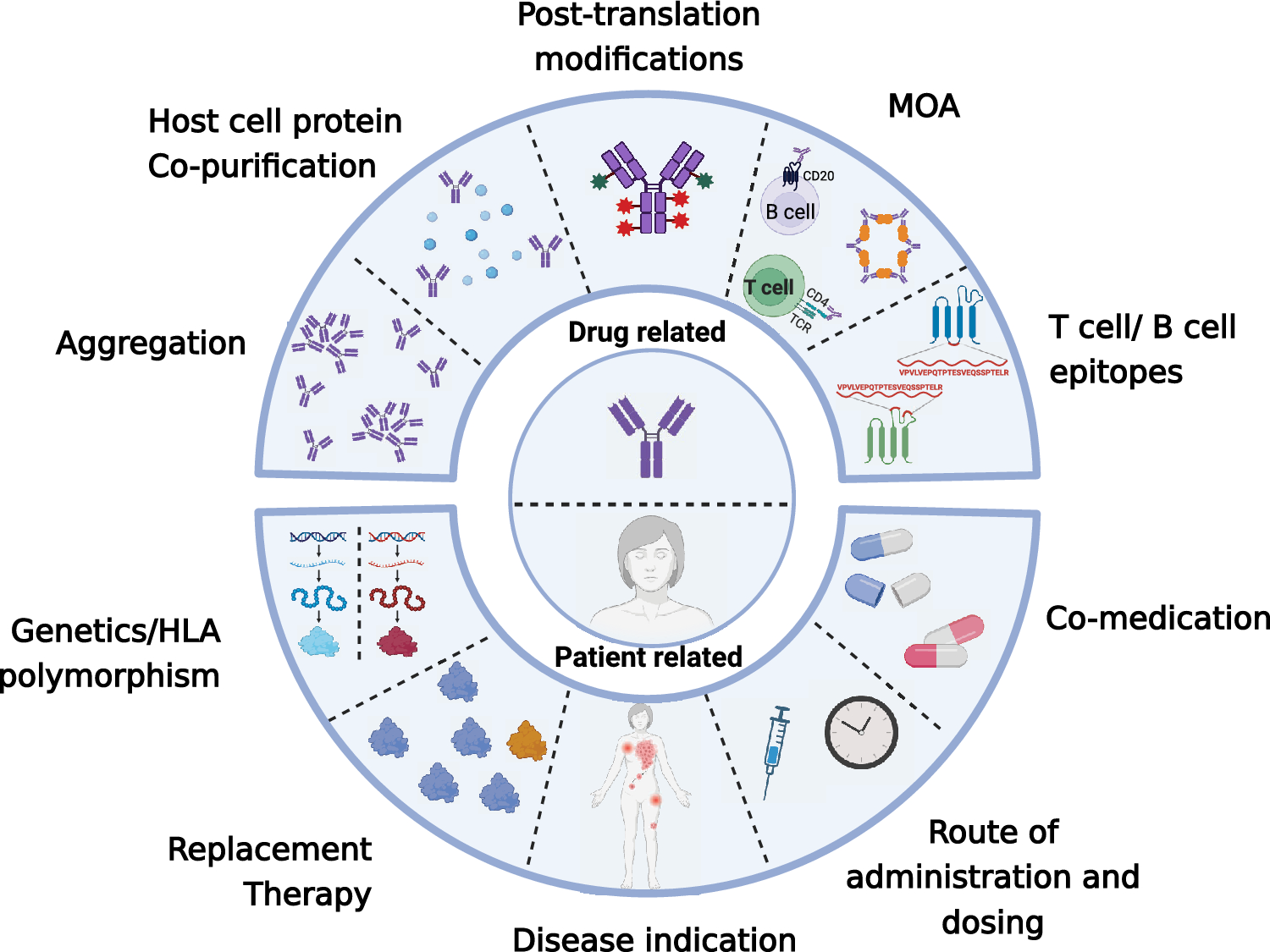 Reducing Immunogenicity by Design: Approaches to Minimize Immunogenicity of Monoclonal Antibodies