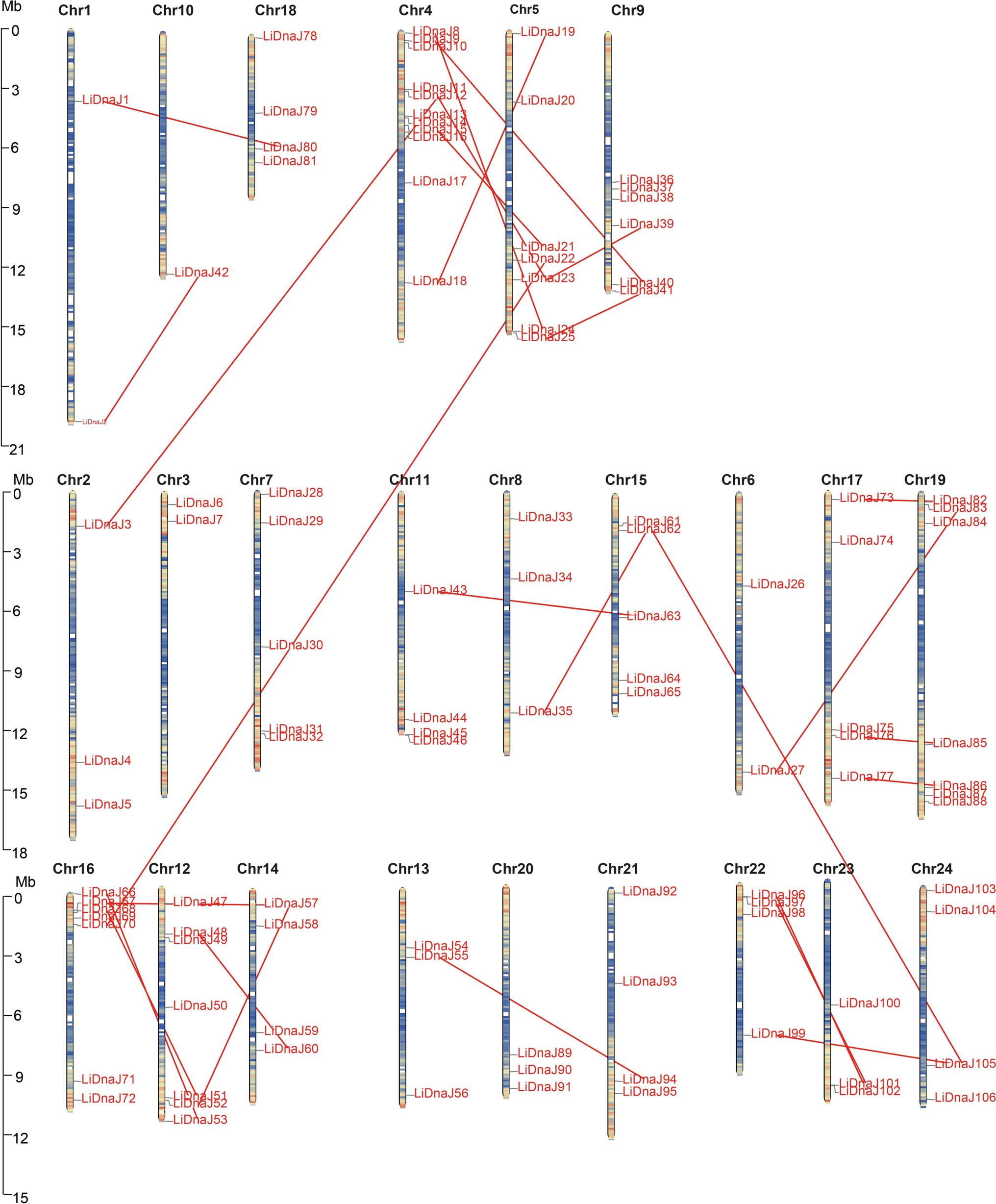 Comparative genomic analysis reveals expansion of the DnaJ gene family in Lagerstroemia indica and its members response to salt stress