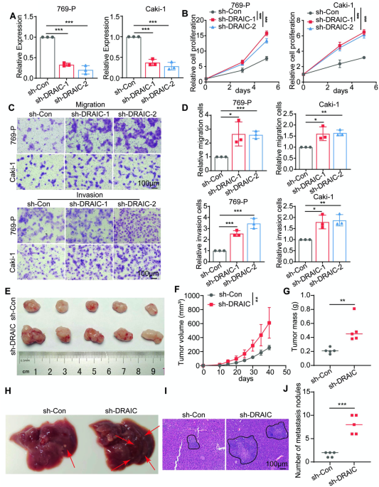 DRAIC mediates hnRNPA2B1 stability and m6A-modified IGF1R instability to inhibit tumor progression