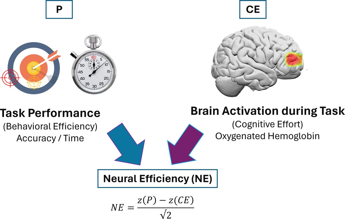 Occupational Health and Neuroergonomics: The Future of Wearable Neurotechnologies at the Workplace