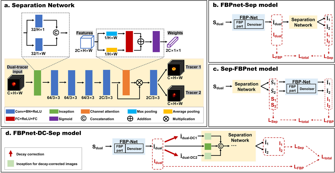 Signal separation of simultaneous dual-tracer PET imaging based on global spatial information and channel attention