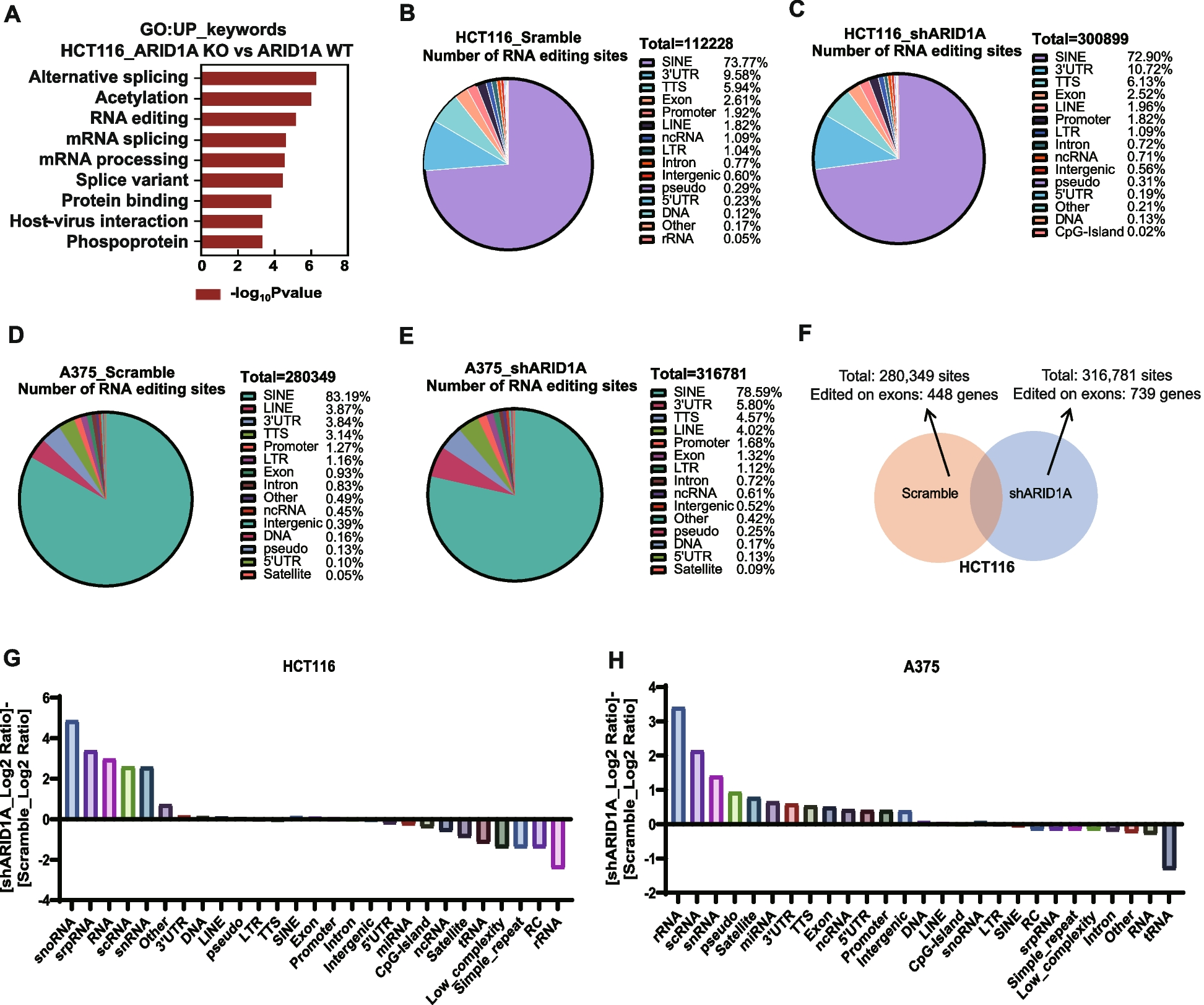 ARID1A loss promotes RNA editing of CDK13 in an ADAR1-dependent manner