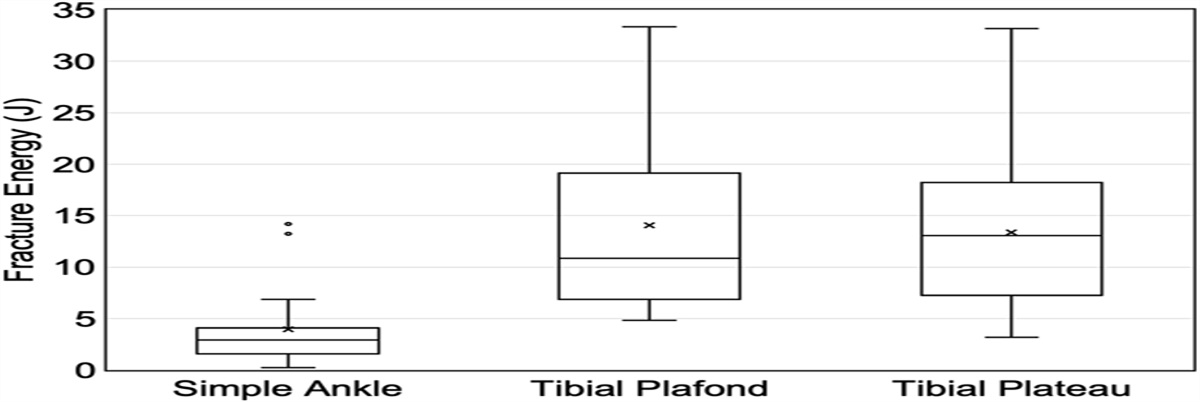 The Relationship Between Intra-articular Fracture Energy and a Patient's Inflammatory Response