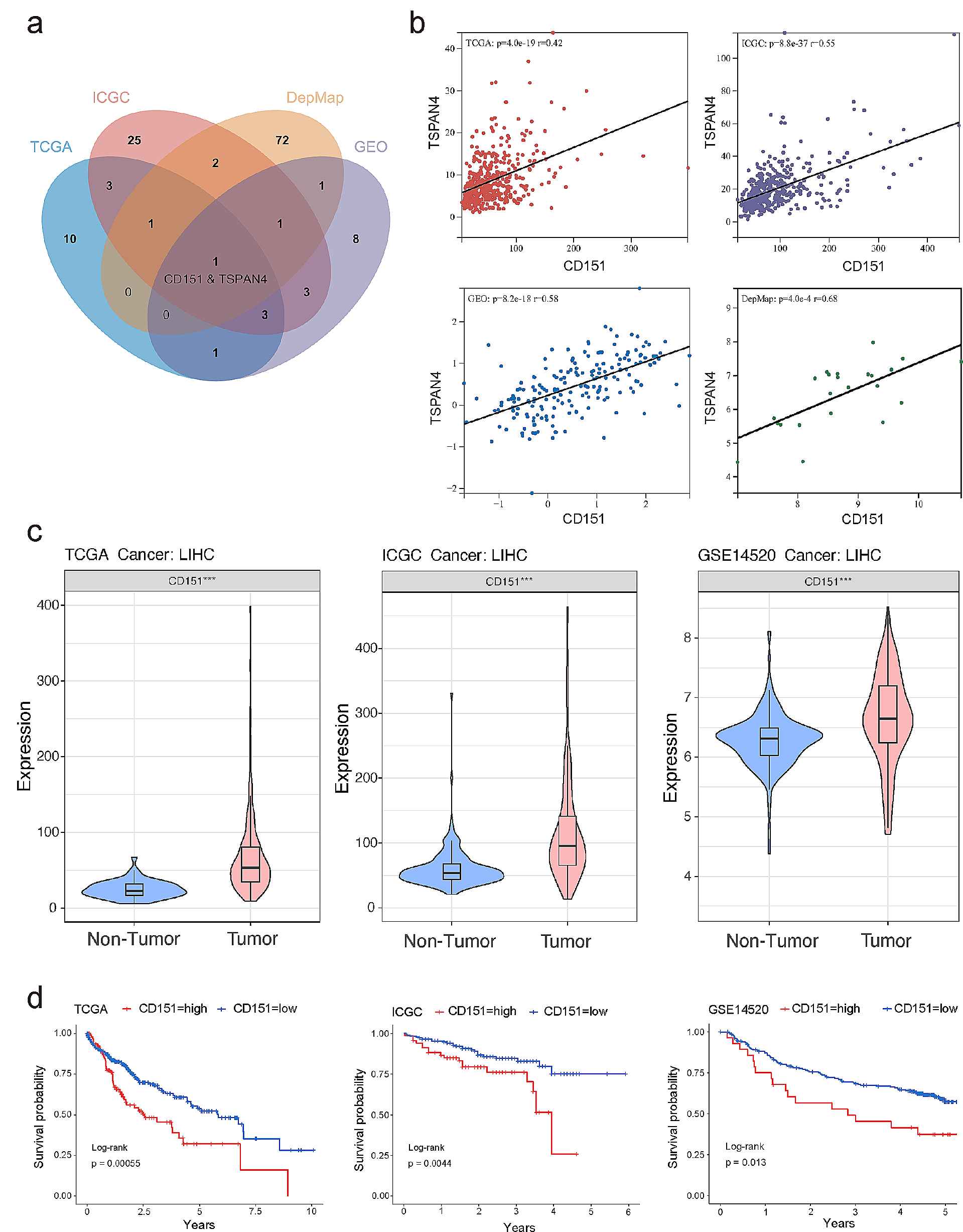 CD151-enriched migrasomes mediate hepatocellular carcinoma invasion by conditioning cancer cells and promoting angiogenesis
