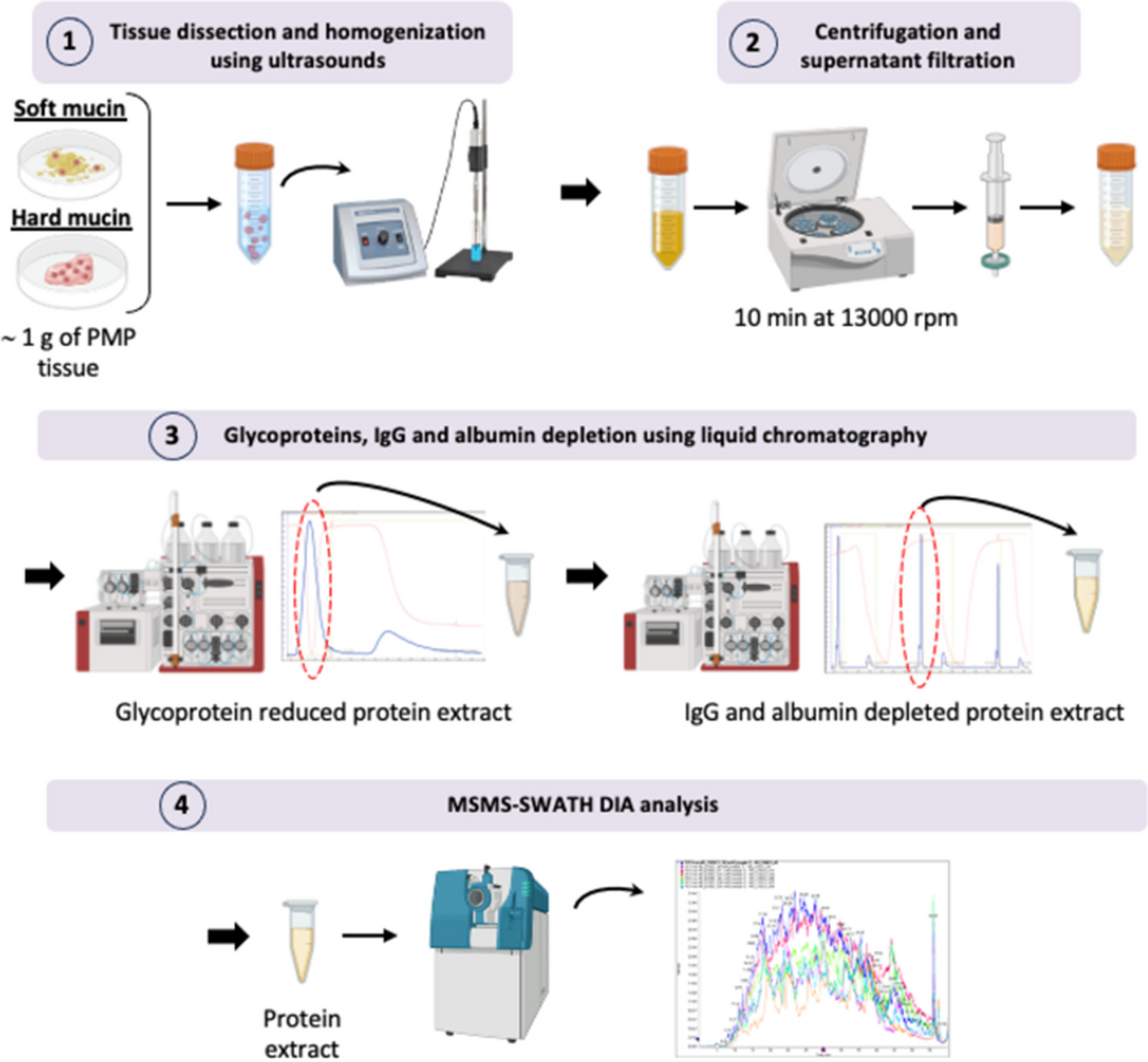 Breaking the Mucin Barrier: A New Affinity Chromatography-Mass Spectrometry Approach to Unveil Potential Cell Markers and Pathways Altered in Pseudomyxoma Peritonei