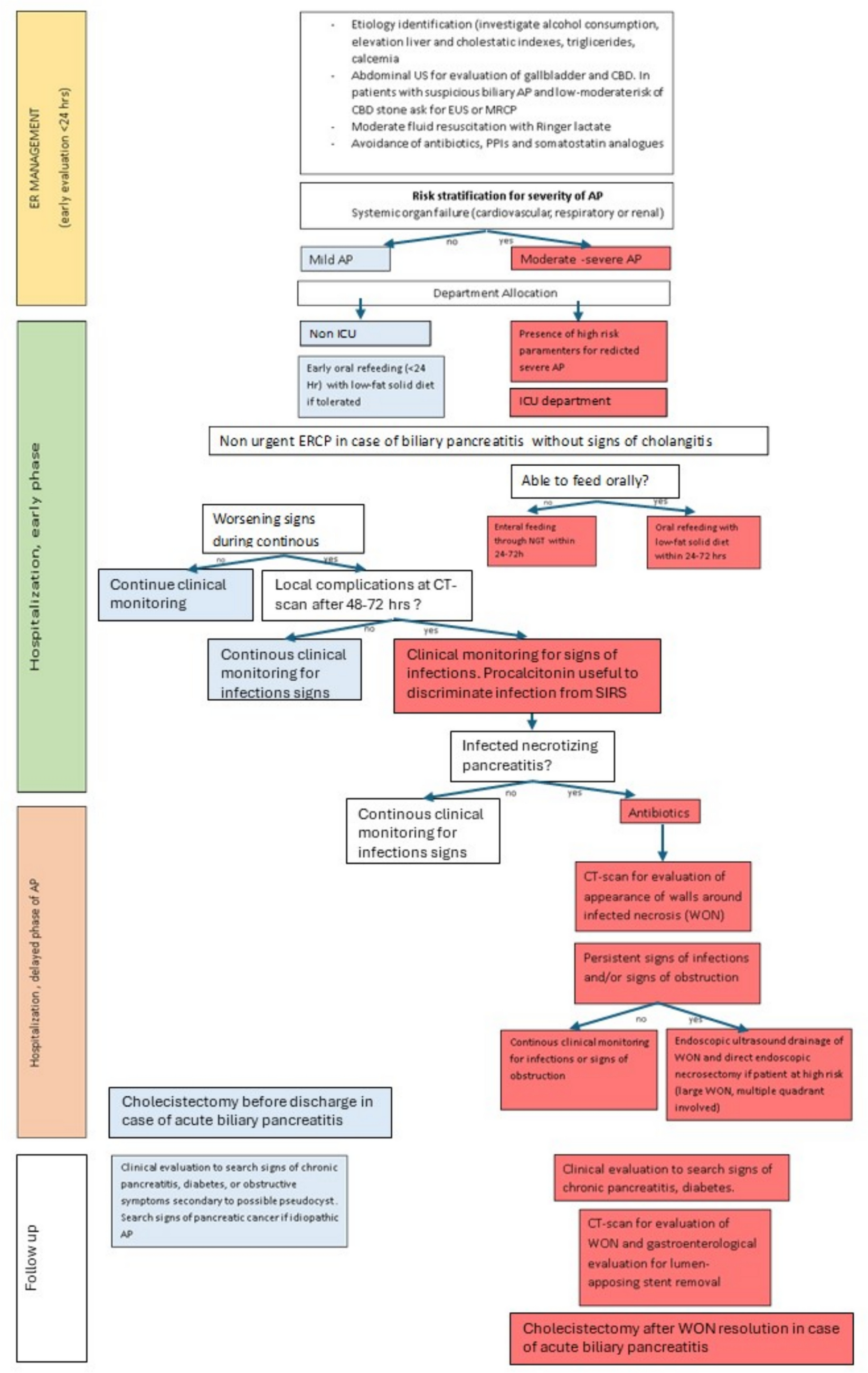 Practical approach to acute pancreatitis: from diagnosis to the management of complications