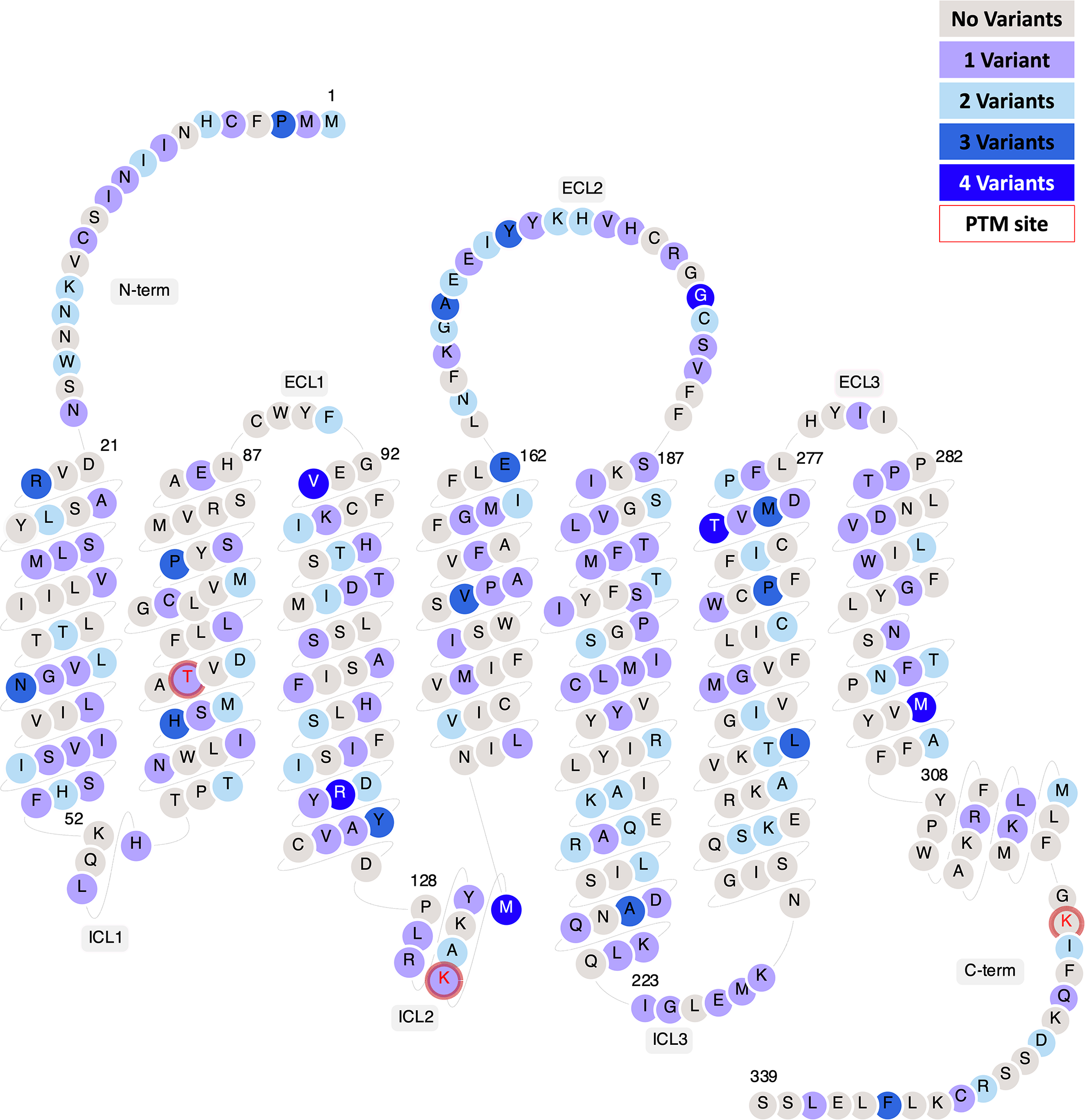 Trace amine associated receptor 1: predicted effects of single nucleotide variants on structure-function in geographically diverse populations