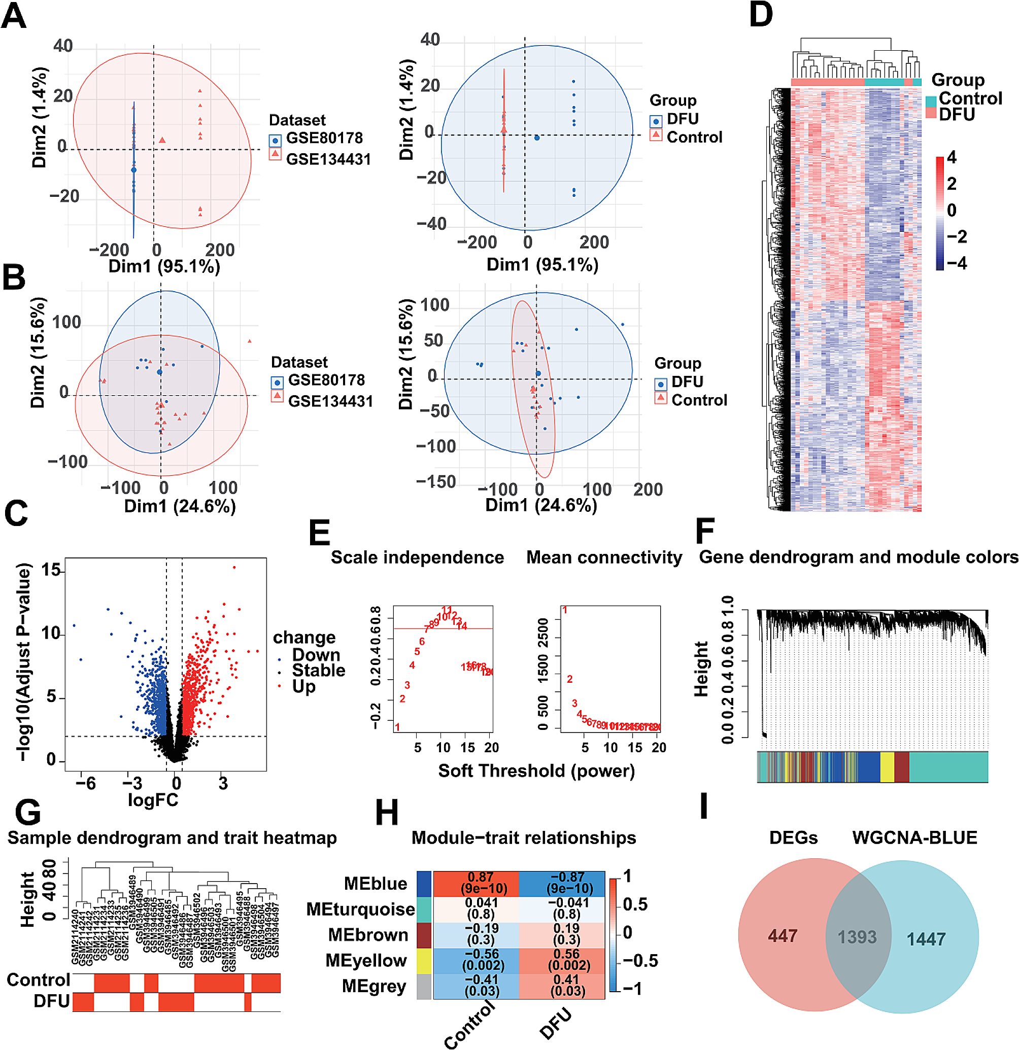 Development of novel lysosome-related signatures and their potential target drugs based on bulk RNA-seq and scRNA-seq for diabetic foot ulcers