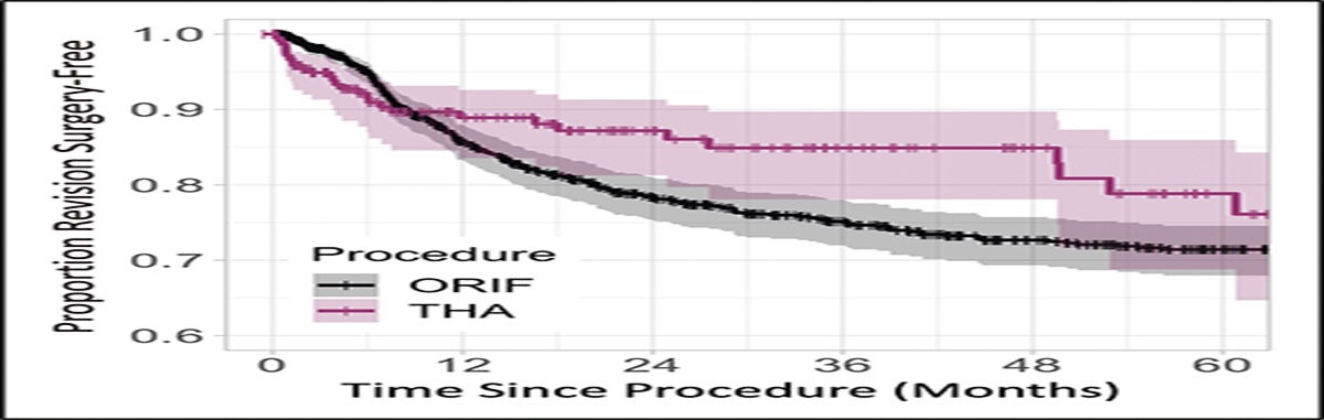 Similar Medium-Term Revision Rates Following Acute Total Hip Arthroplasty Versus Open Reduction and Internal Fixation for Acetabular Fractures in the Elderly