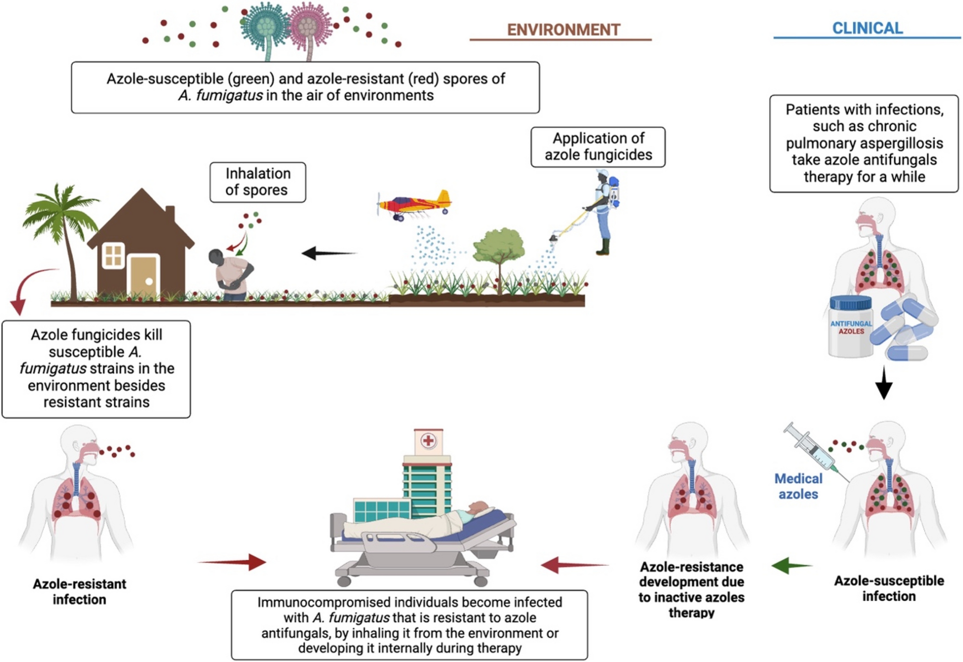 Recent Advances and Future Perspectives in Mitigating Invasive Antifungal-Resistant Pathogen Aspergillus fumigatus in Africa