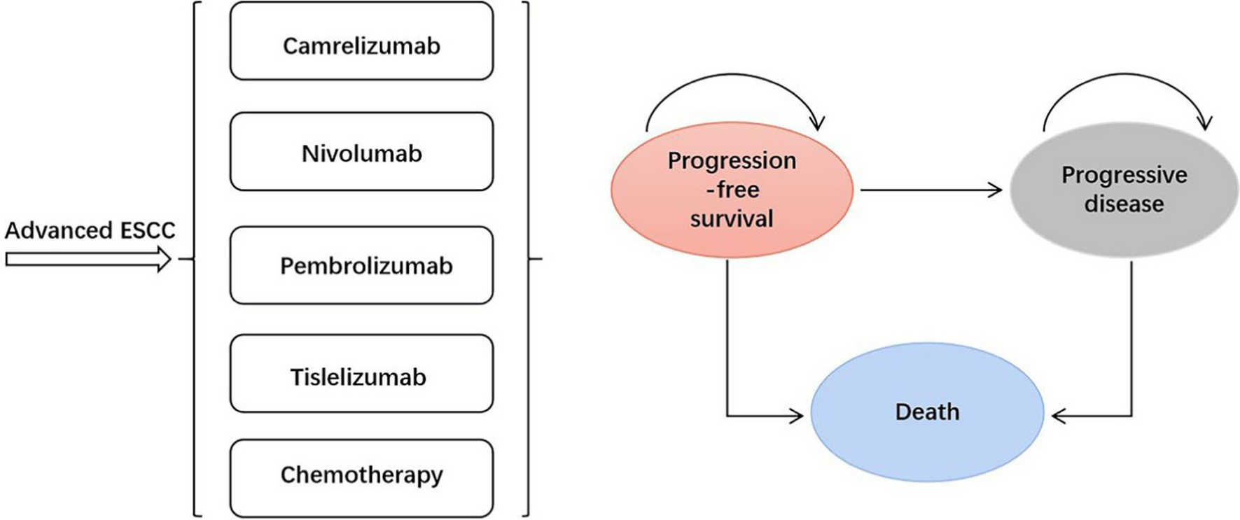 Cost-effectiveness analysis of PD-1 inhibitors as second-line therapy for advanced or metastatic esophageal squamous cell carcinoma in China: an economic evaluation based on network meta-analysis