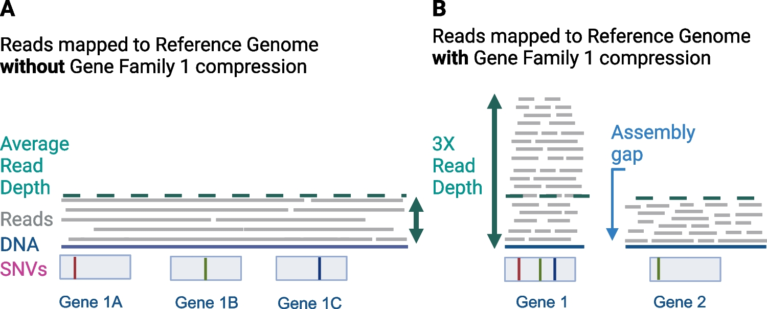 Cryptosporidium Genomics — Current Understanding, Advances, and Applications