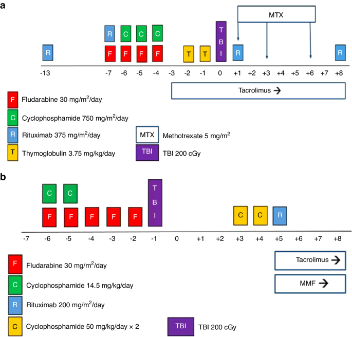 Efficacy and safety of outpatient fludarabine, cyclophosphamide, and rituximab based allogeneic hematopoietic cell transplantation in adults with severe aplastic anemia