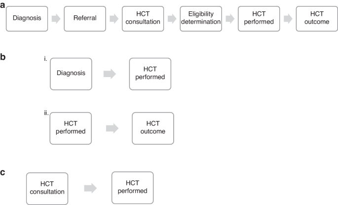 Disparities in access to hematopoietic cell transplant persist at a transplant center
