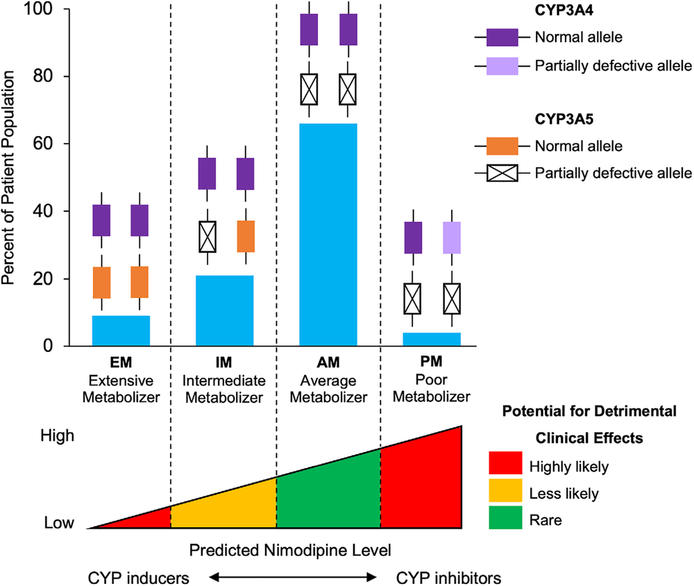 Nimodipine-associated standard dose reductions and neurologic outcomes after aneurysmal subarachnoid hemorrhage: the era of pharmacogenomics