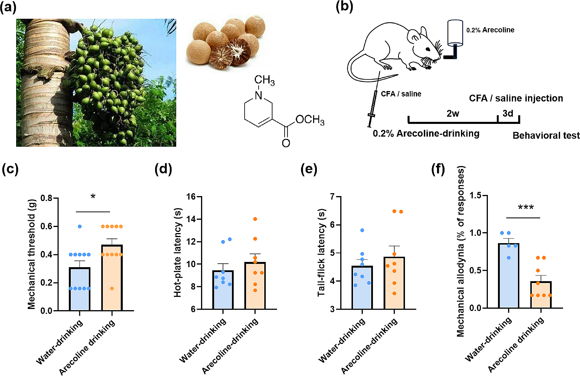 Inhibition of cortical synaptic transmission, behavioral nociceptive, and anxiodepressive-like responses by arecoline in adult mice